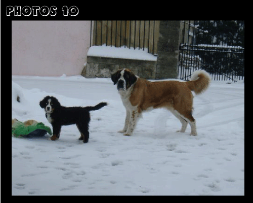 photo.10