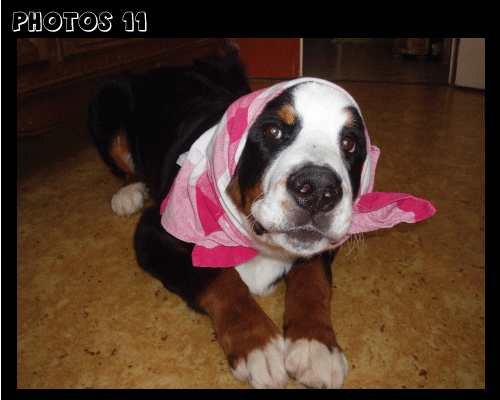photo.11