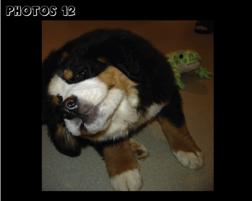 photo.12
