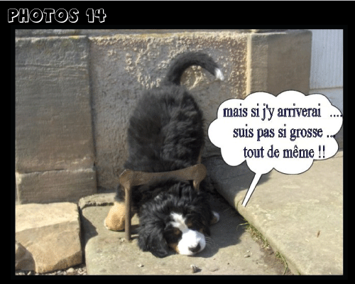 photo.14