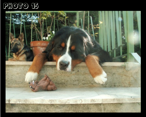 photo.15