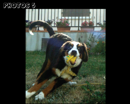 photo.5