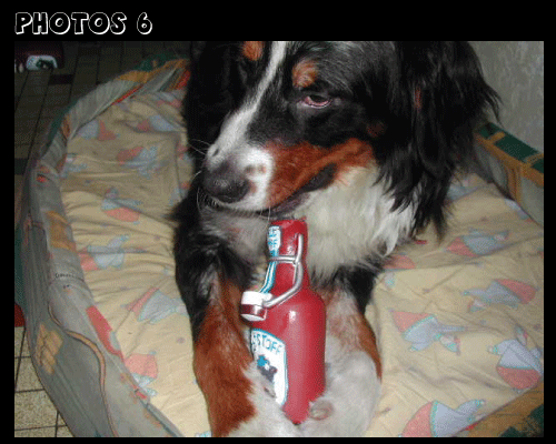 photo.6