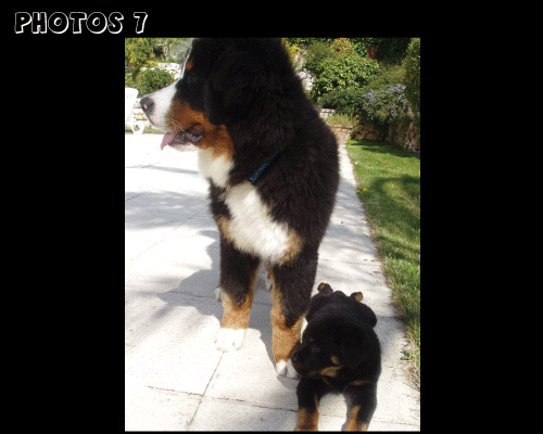 photo.7