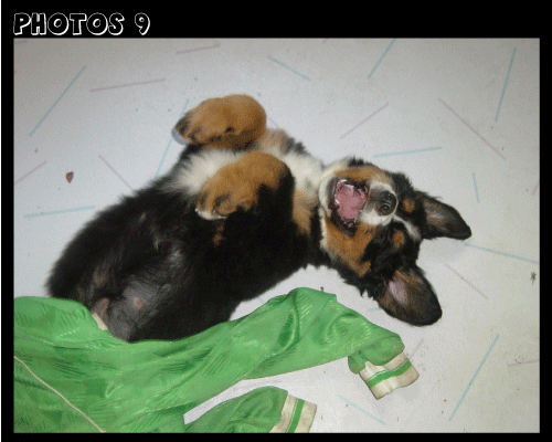 photo.9